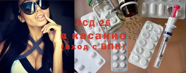 сатива Вяземский