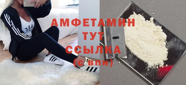 сатива Вяземский